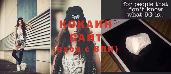 хмурый Ладушкин