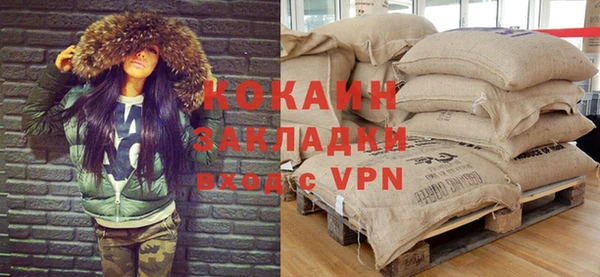 хмурый Ладушкин