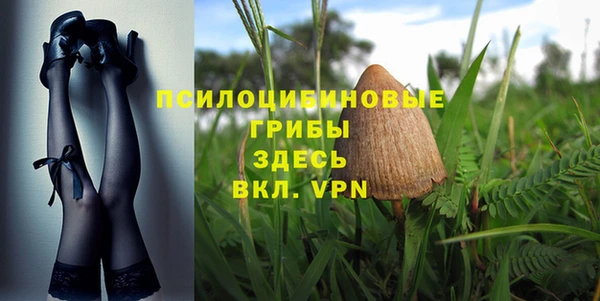 хмурый Ладушкин