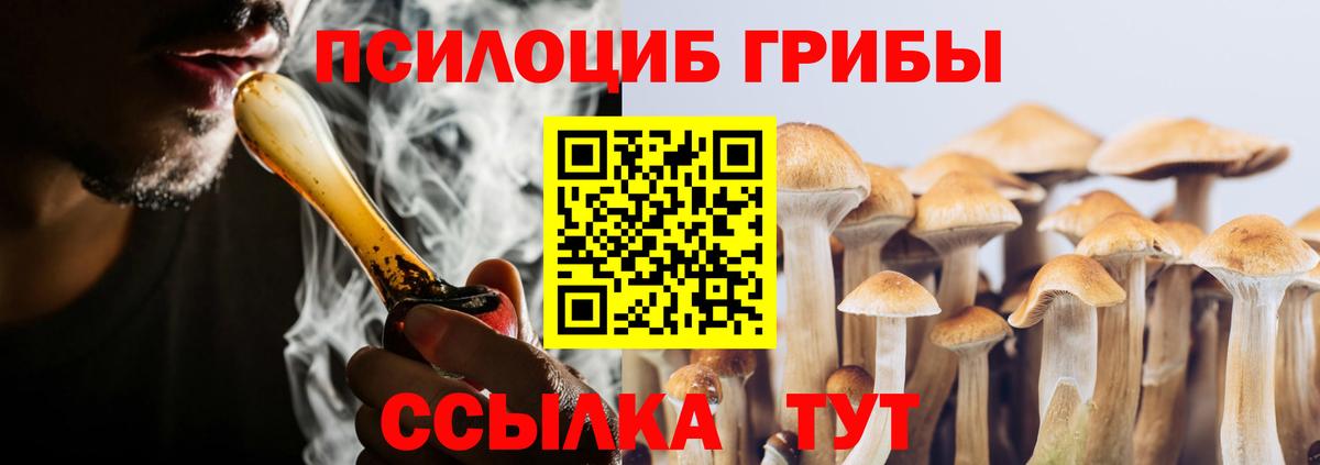 Галлюциногенные грибы Psilocybine cubensis  Вход с VPN  закладка  Великий Новгород 